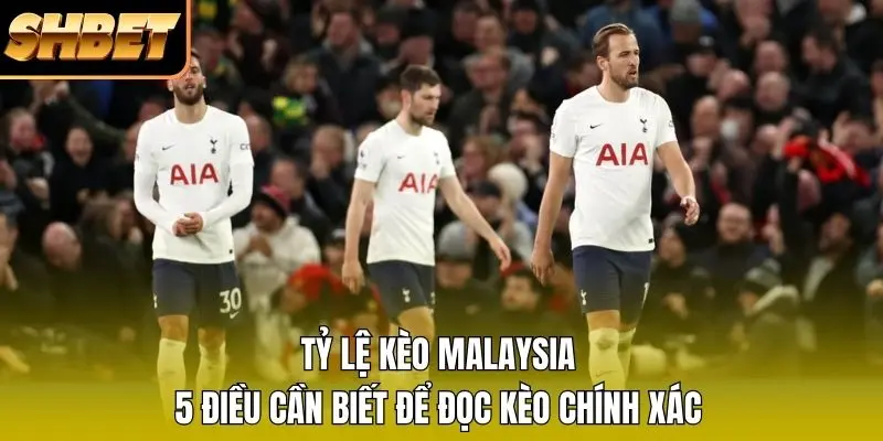 1 Tỷ Lệ Kèo Malaysia - 5 Điều Cần Biết Để Đọc Kèo Chính Xác Tỷ Lệ Kèo Malaysia - 5 Điều Cần Biết Để Đọc Kèo Chính Xác